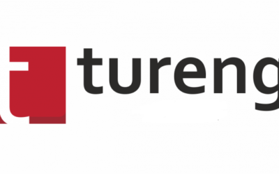 Tureng (Diccionario multilingüe)