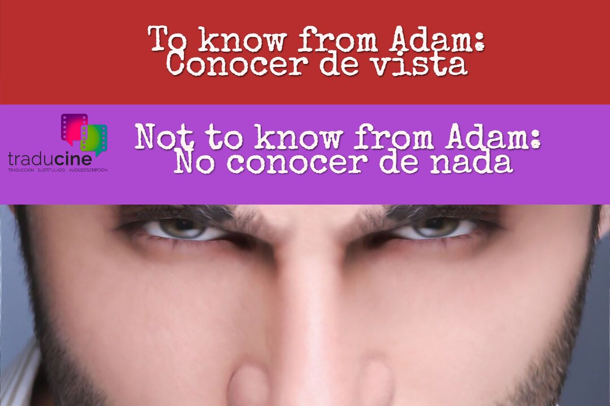 know-from-adam-traducine